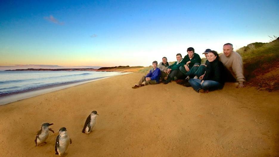 カウズ The Grampian Phillip Islandヴィラ エクステリア 写真