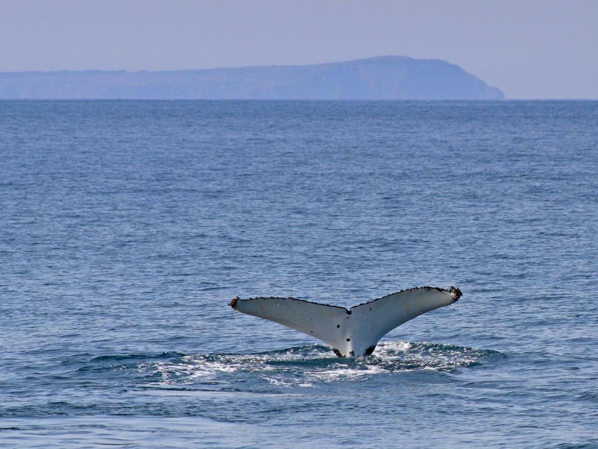 カウズ The Grampian Phillip Islandヴィラ エクステリア 写真