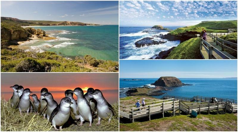 カウズ The Grampian Phillip Islandヴィラ エクステリア 写真