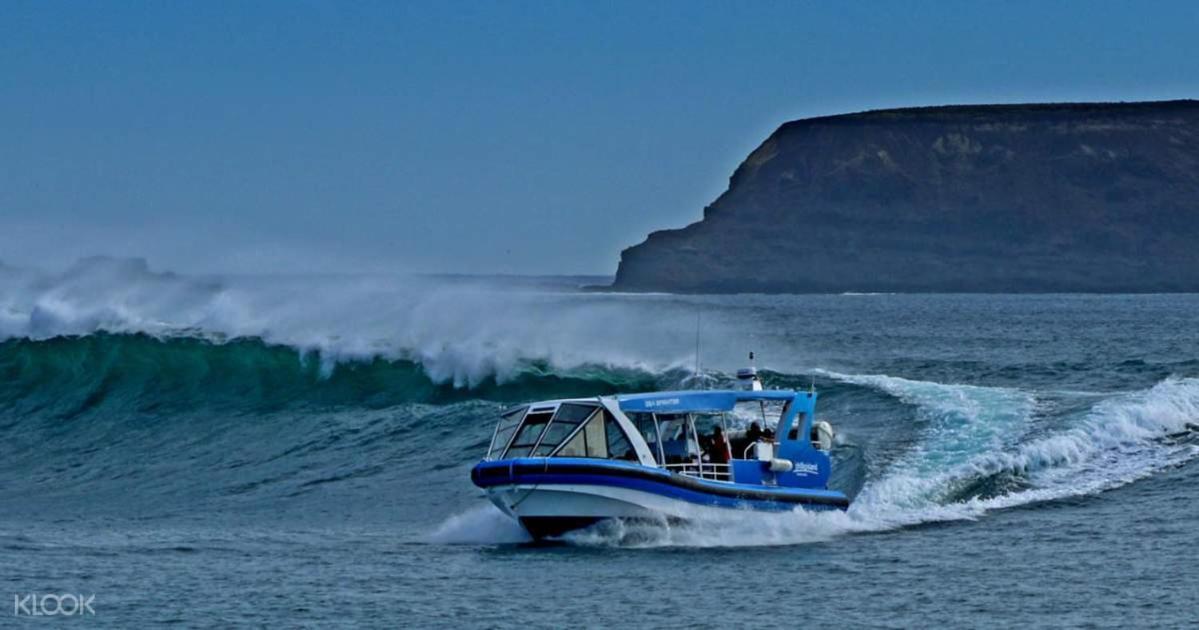 カウズ The Grampian Phillip Islandヴィラ エクステリア 写真
